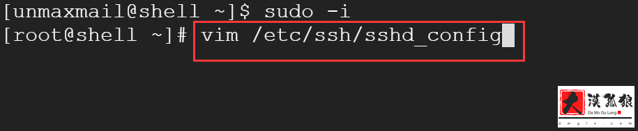 请输入图片描述